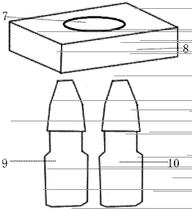 Echinococcus multilocularis circulating antigen dot immunogold filtration kit and preparation method