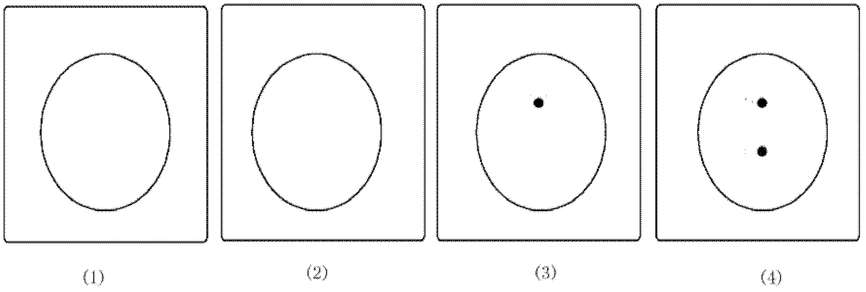 Echinococcus multilocularis circulating antigen dot immunogold filtration kit and preparation method