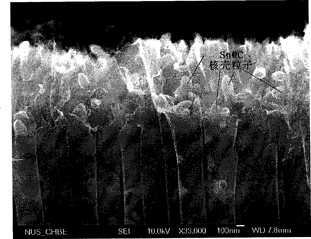 In-situ synthesis method for preparing tin-carbon/core-shell nano-particle fully filled carbon nano-tube composite anode material