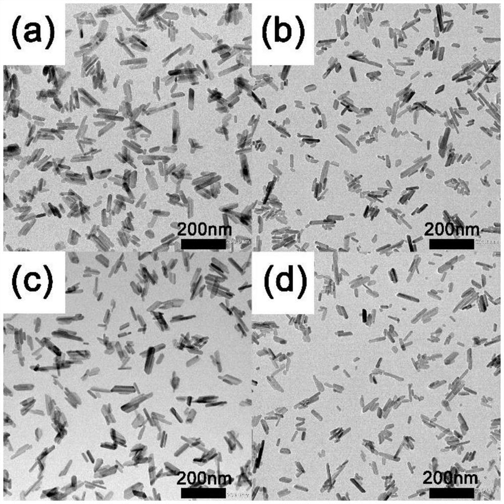 Method for regulating the preparation of hydroxyapatite with excellent cytocompatibility