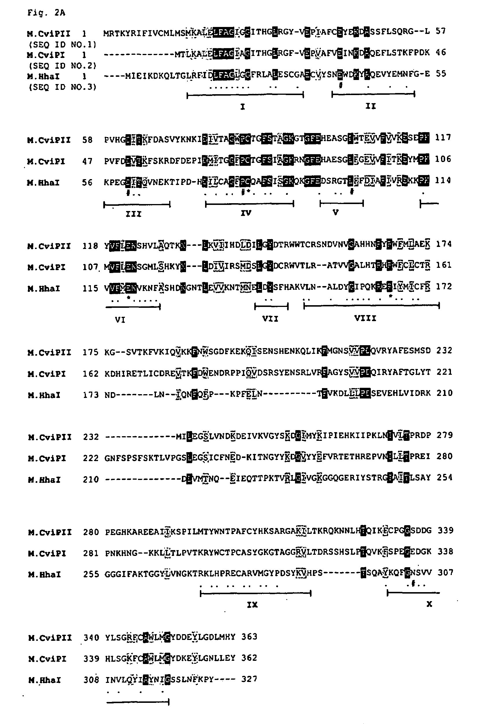 Recombinant Dna Nicking Endonuclease and Uses Thereof