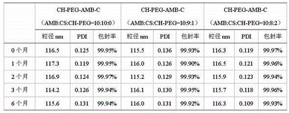 Amphotericin B nano composite, and preparation method thereof