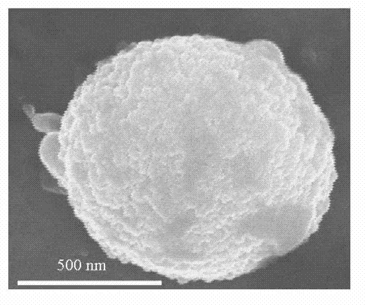 Biocompatible nano composite drug carrier with synergistic anti-tumor effect, drug with synergistic anti-tumor effect and preparation methods of biocompatible nano composite drug carrier and drug