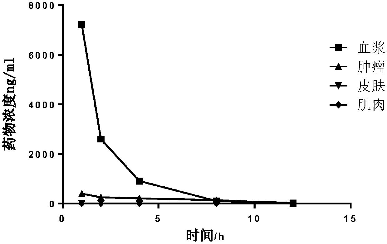 Bacterial chlorophyll derivative and preparation method thereof