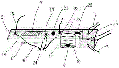 Blood composition non-invasive detecting device