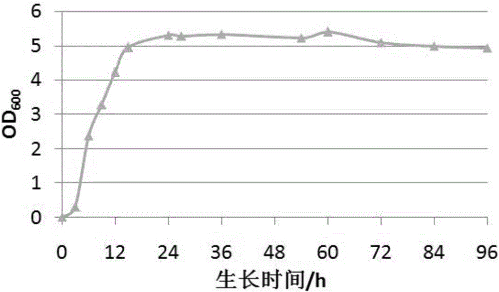 High-yield fucoidanase ocean alternating pseudomonas and application thereof