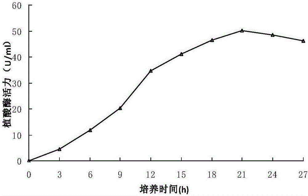 Bacterium LRP3 capable of mineralizing and fixing heavy metal ions and application of bacterium LRP3