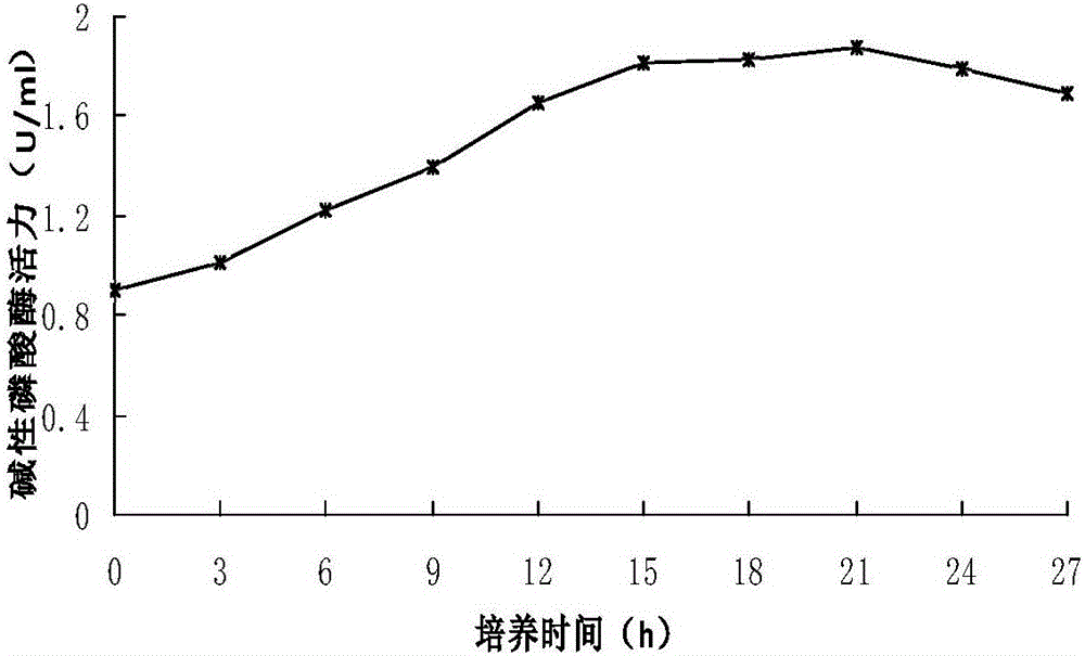 Bacterium LRP3 capable of mineralizing and fixing heavy metal ions and application of bacterium LRP3