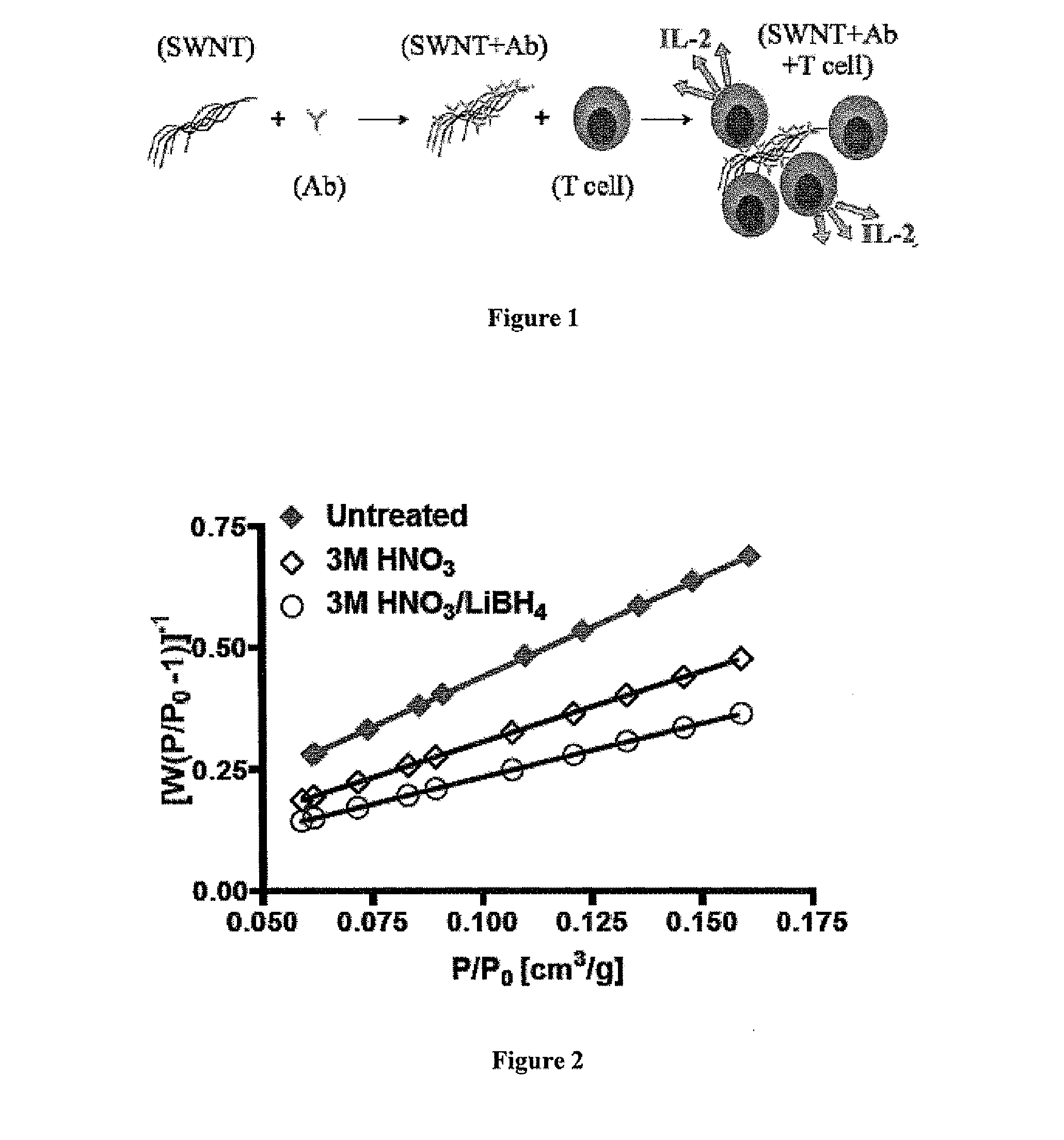 Carbon nanotube compositions and methods of use thereof