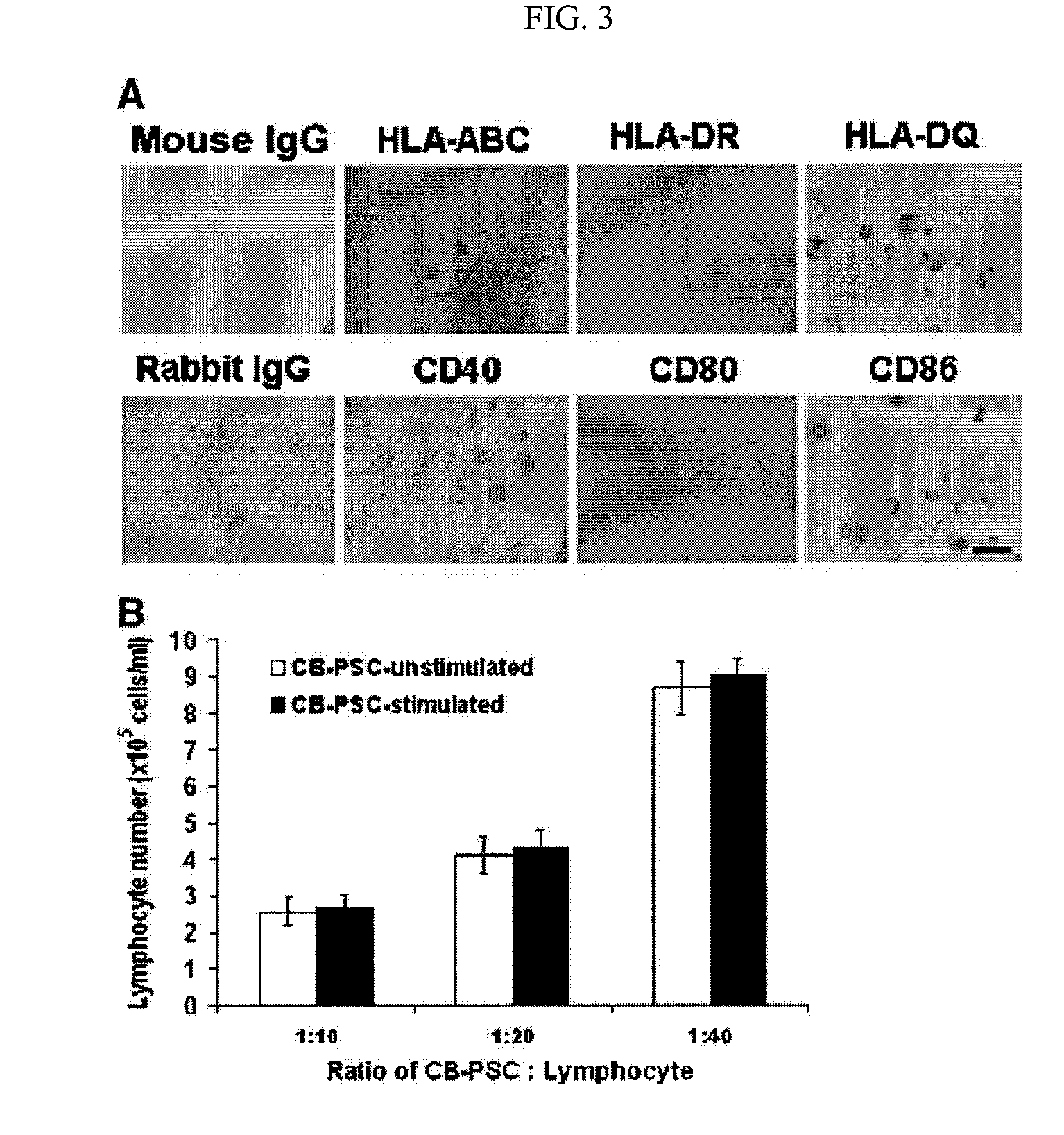 Isolated Embryonic-Like Stem Cells Derived From Human Umbilical Cord Blood