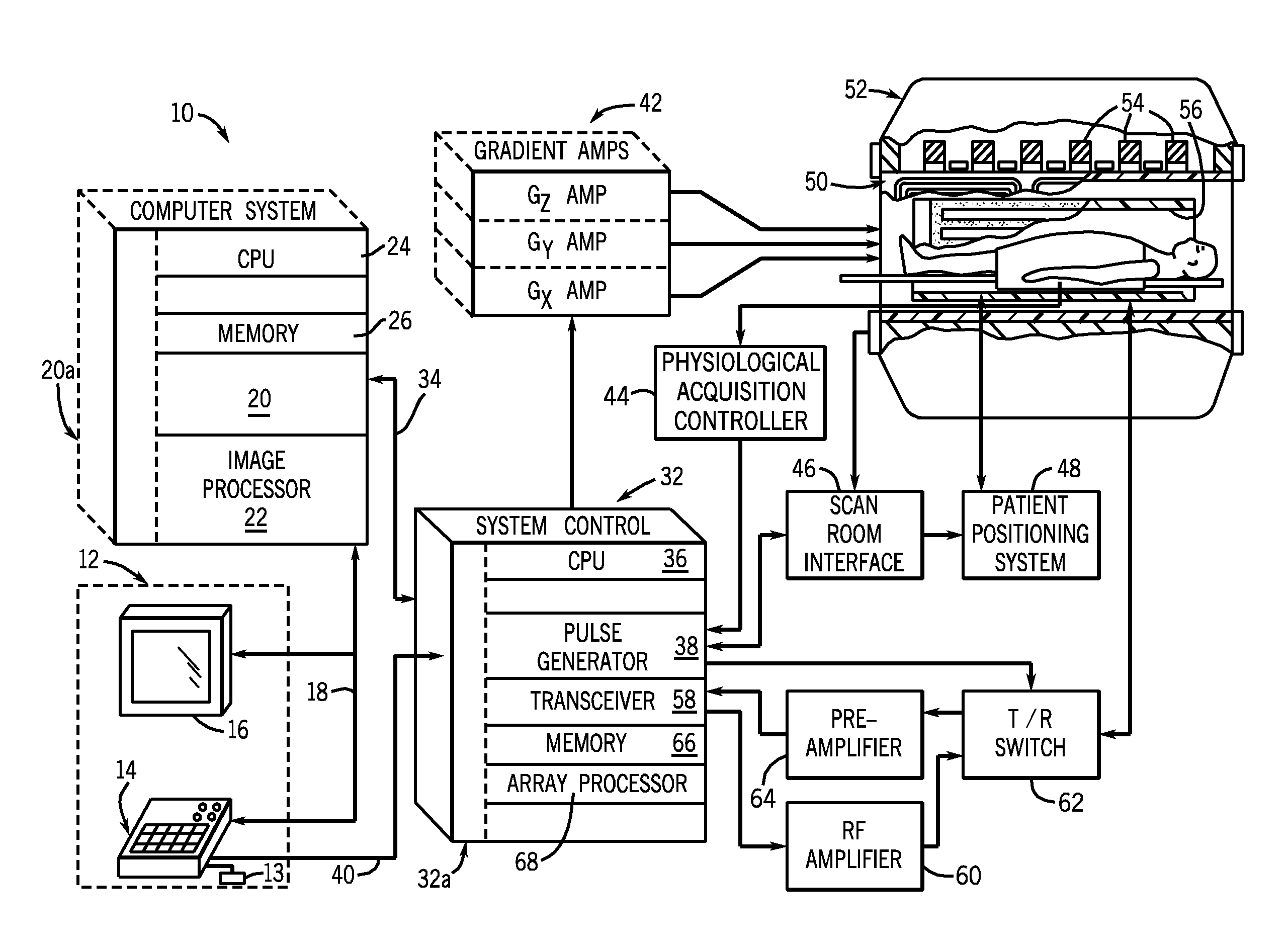 System and method for quantitative species signal separation using mr imaging