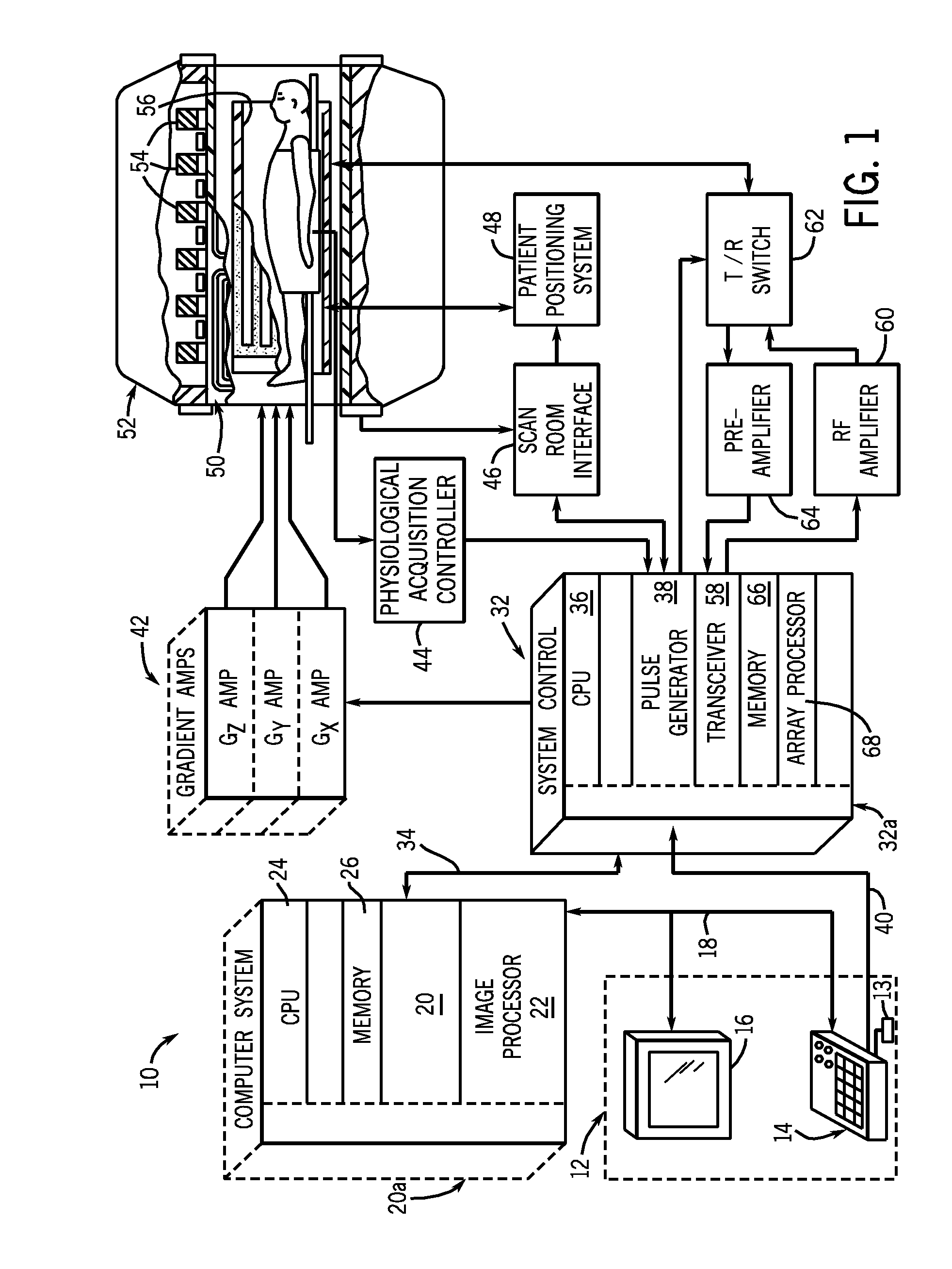 System and method for quantitative species signal separation using mr imaging