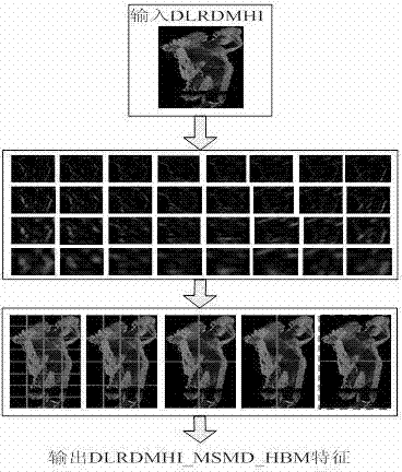 Behavior recognition method based on depth and RGB information and multi-scale and multidirectional rank and level characteristics