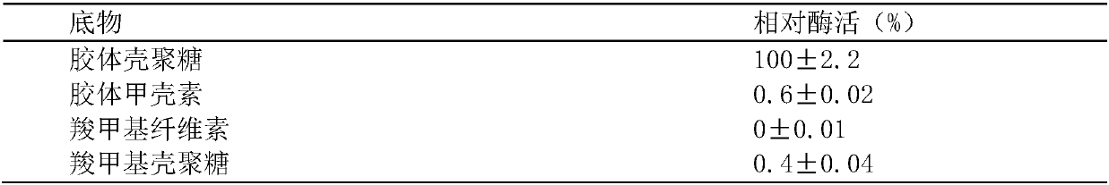 Bacterial strain for co-producing chitosanase and gamma-polyglutamic acid and application thereof