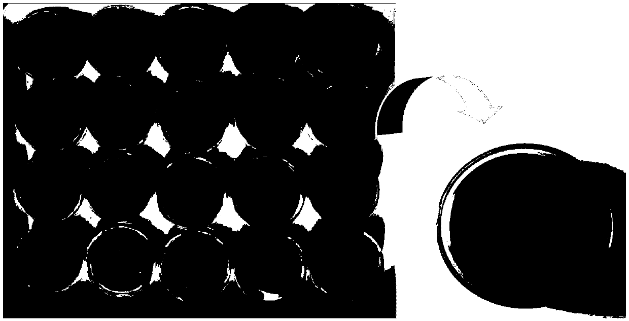 Varroa destructor invasion behavior analyzing device and method for analyzing invasion preference of varroa destructor to apis cerana and apis mellifera larvae