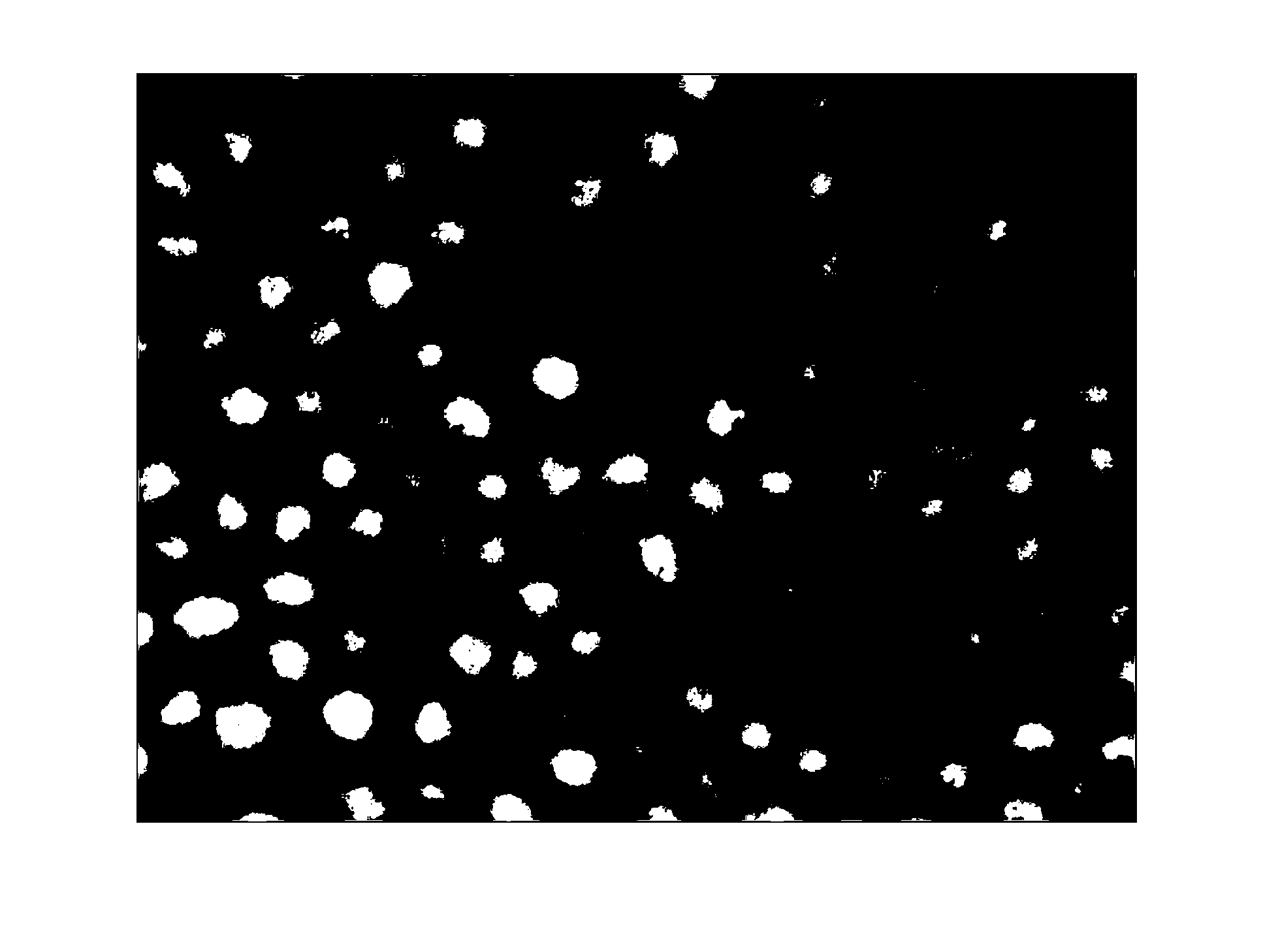 Electrophoretic coating liquid and electrophoretic display layer and preparation methods thereof