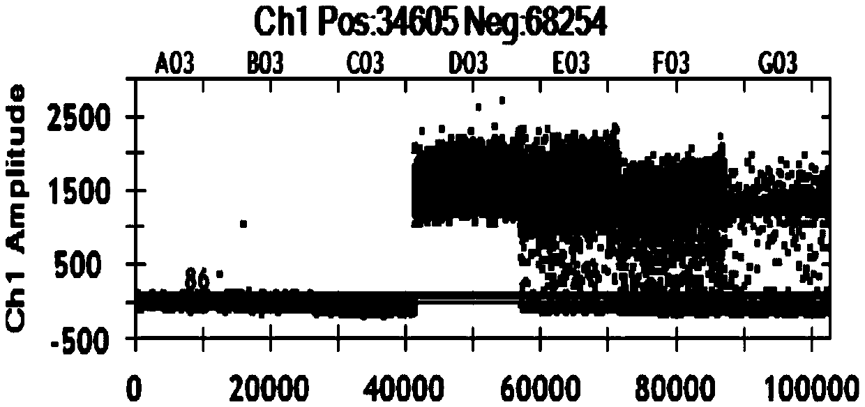 Specific primer, probe and kit for detecting EGFR gene L858R locus