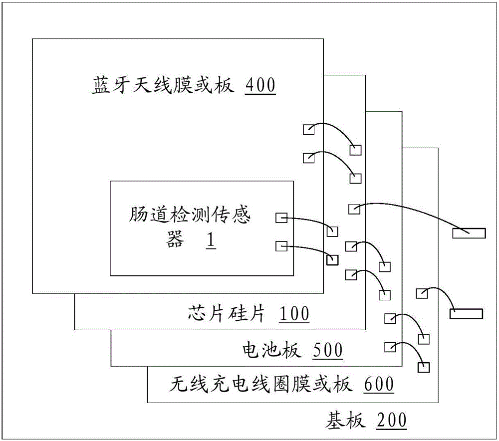 Integrated chip for intestinal tract detection and implementation method of integrated chip