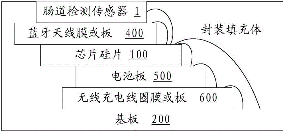 Integrated chip for intestinal tract detection and implementation method of integrated chip