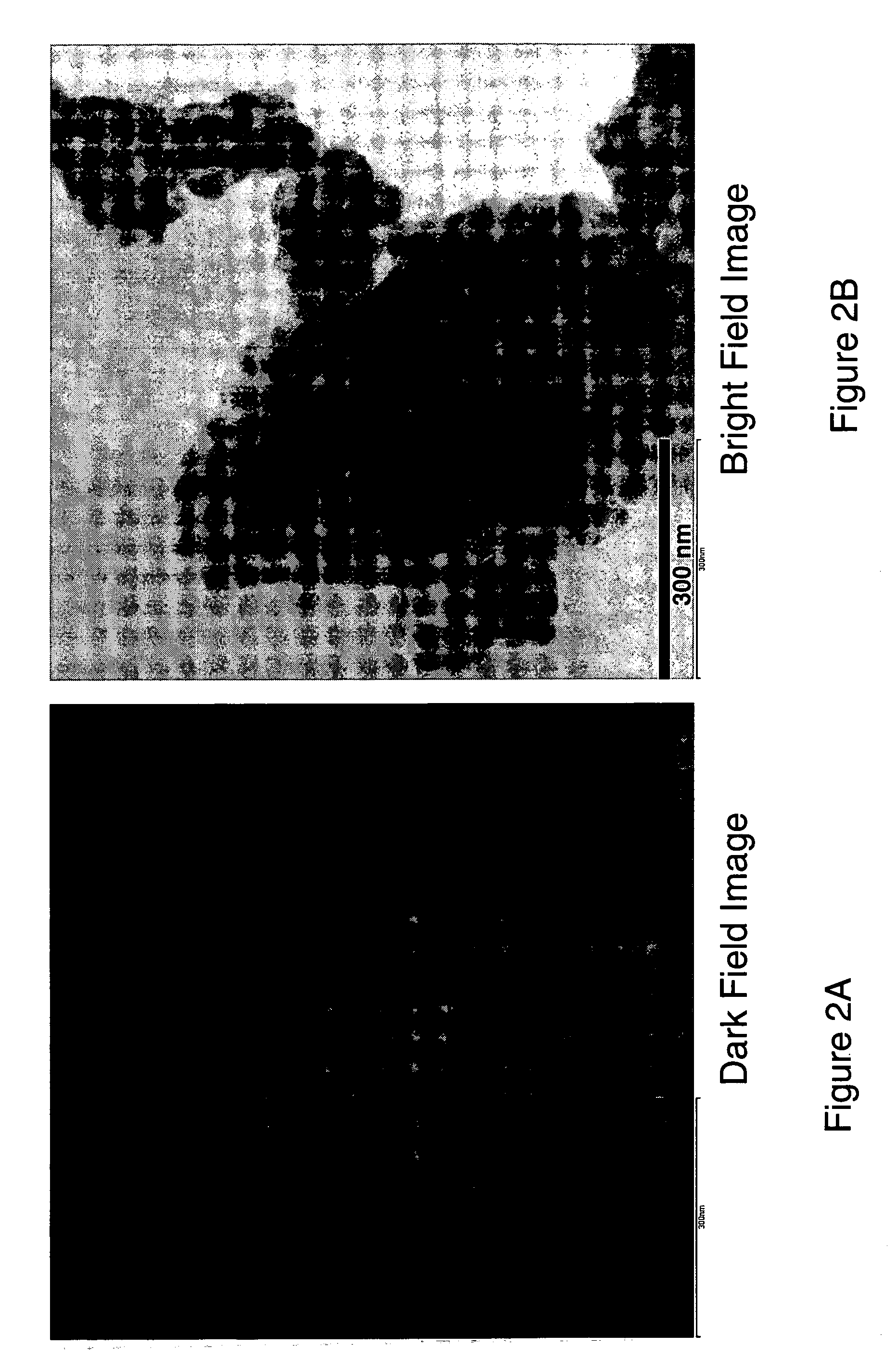 Nanoscale ion storage materials