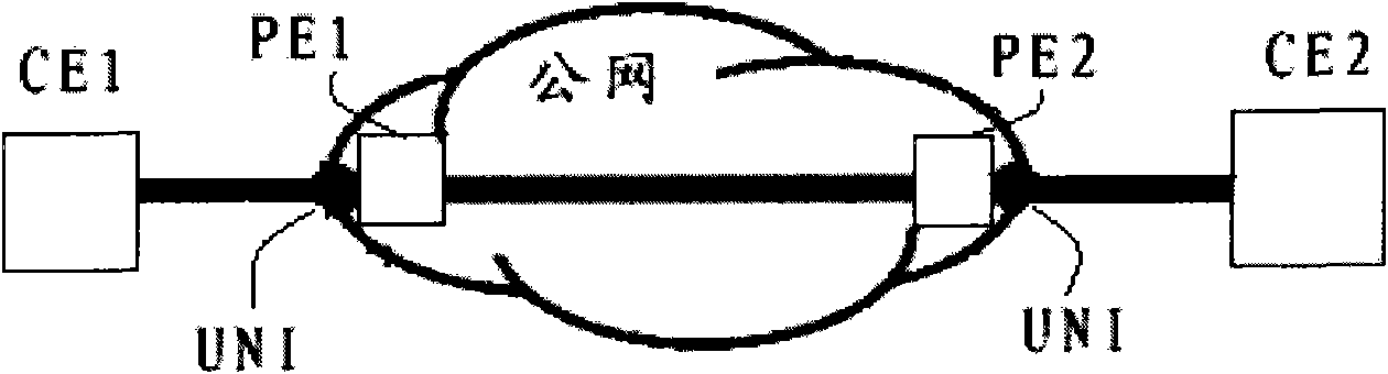 Link state delivery method and device of packet transport network