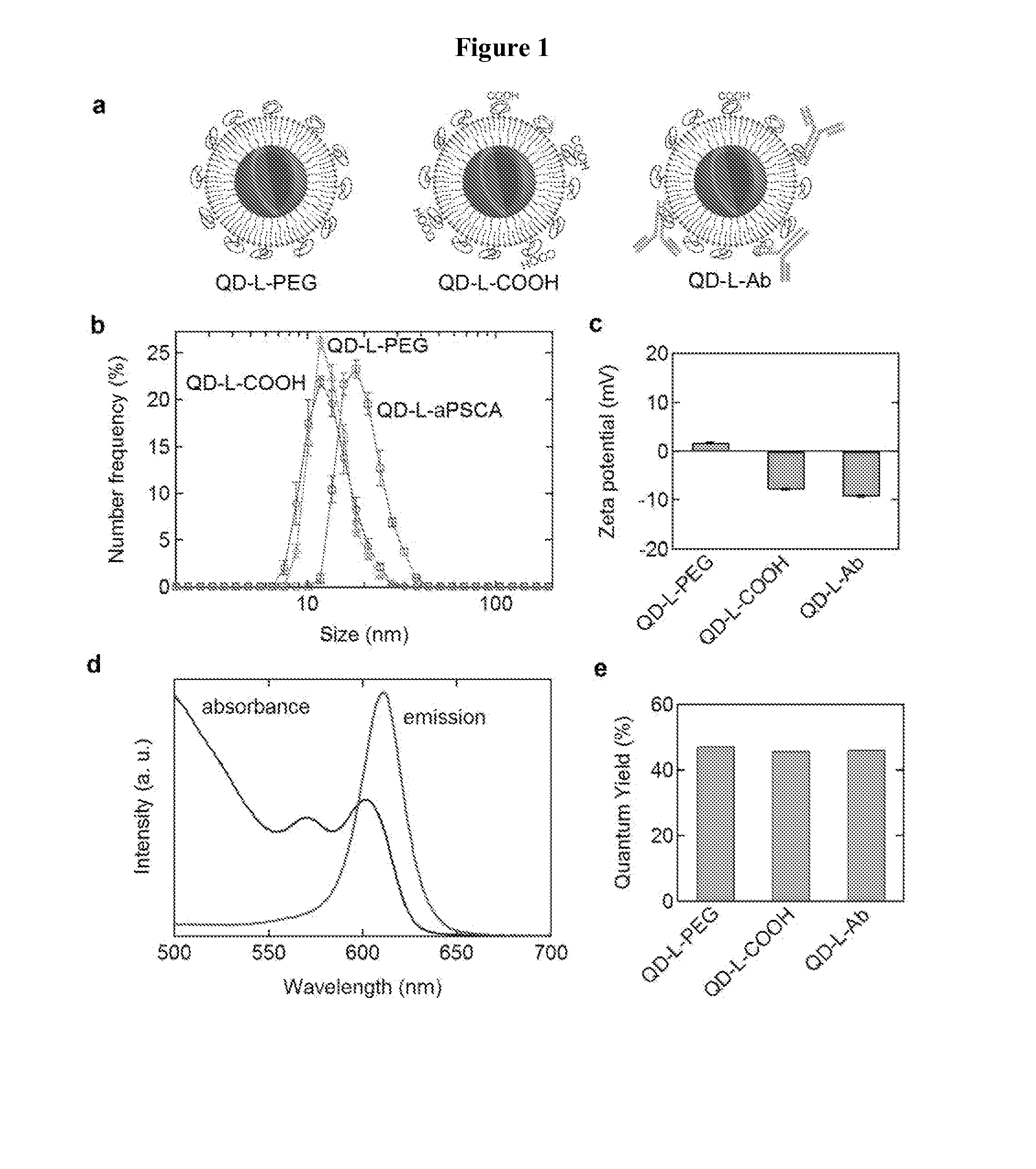 Cuinse/zns nir-quantum dots (QDS) for biomedical imagiing