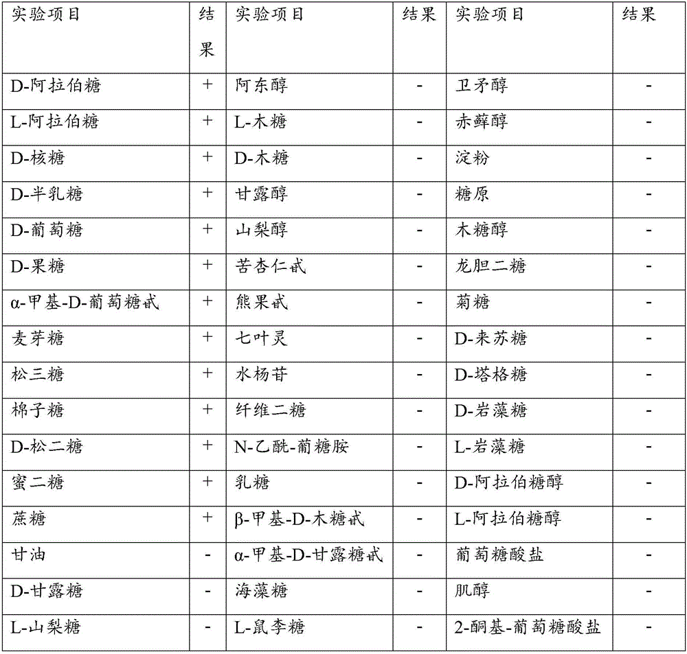 Lactobacillus buchneri capable of improving feed ensiling qualities and application thereof