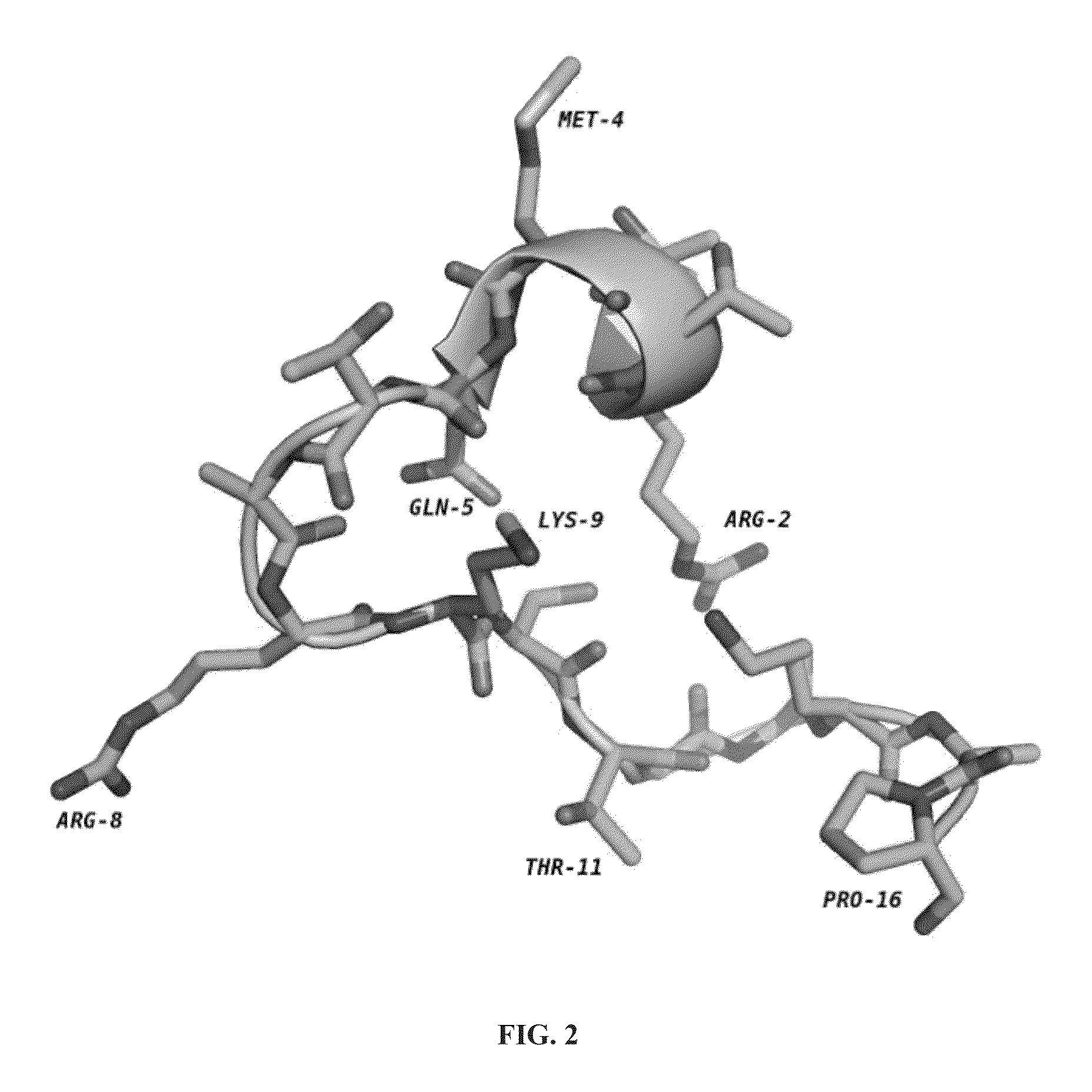 Cyclic peptide inhibitors of lysine-specific demethylase 1