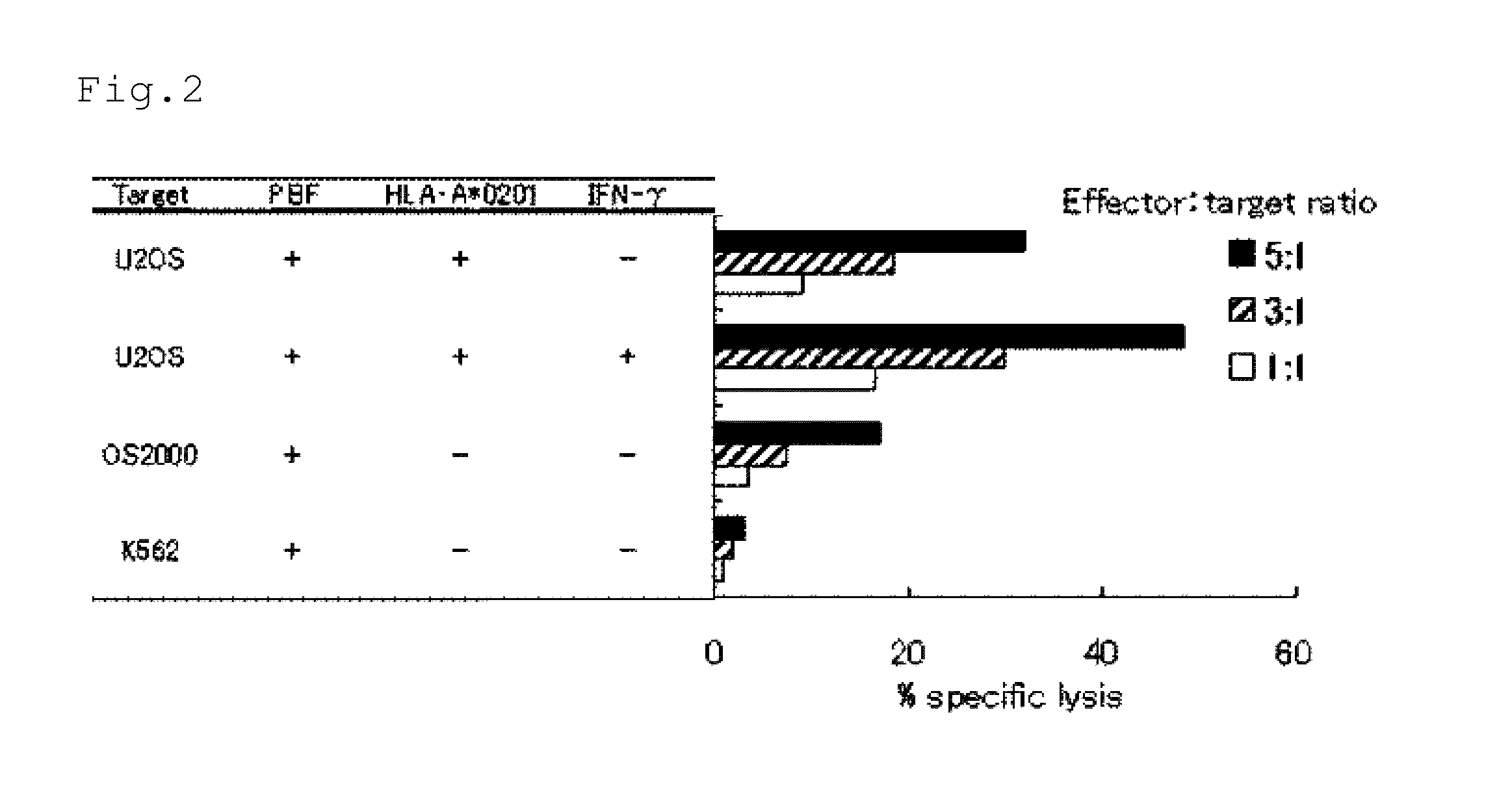 Tumor antigen peptide and use thereof