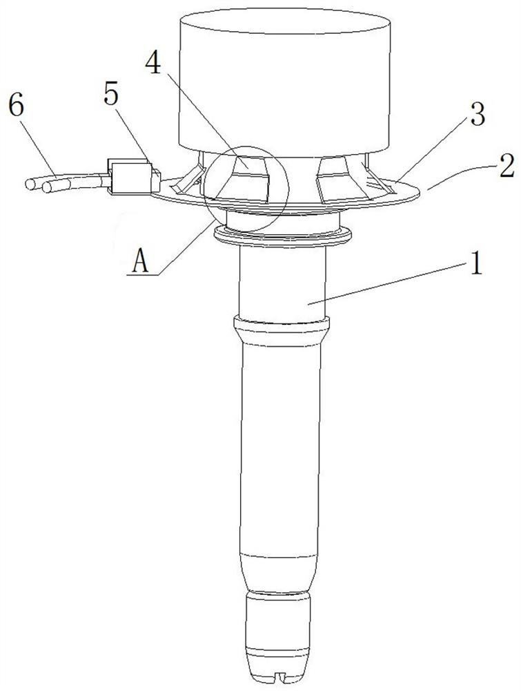 Elastic conduction temperature measurement assembly and socket