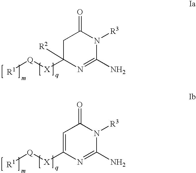 Substituted Amino-Pyrimidones and Uses Thereof