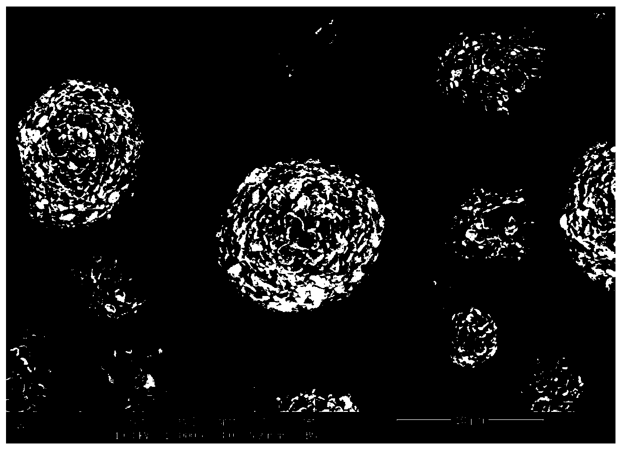 Nickel-cobalt-manganese ternary positive electrode spherical material and preparation method thereof