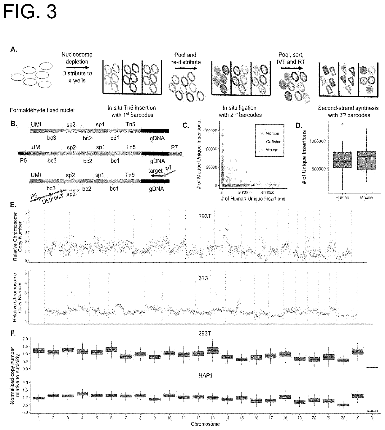 High-throughput single-cell sequencing with reduced amplification bias