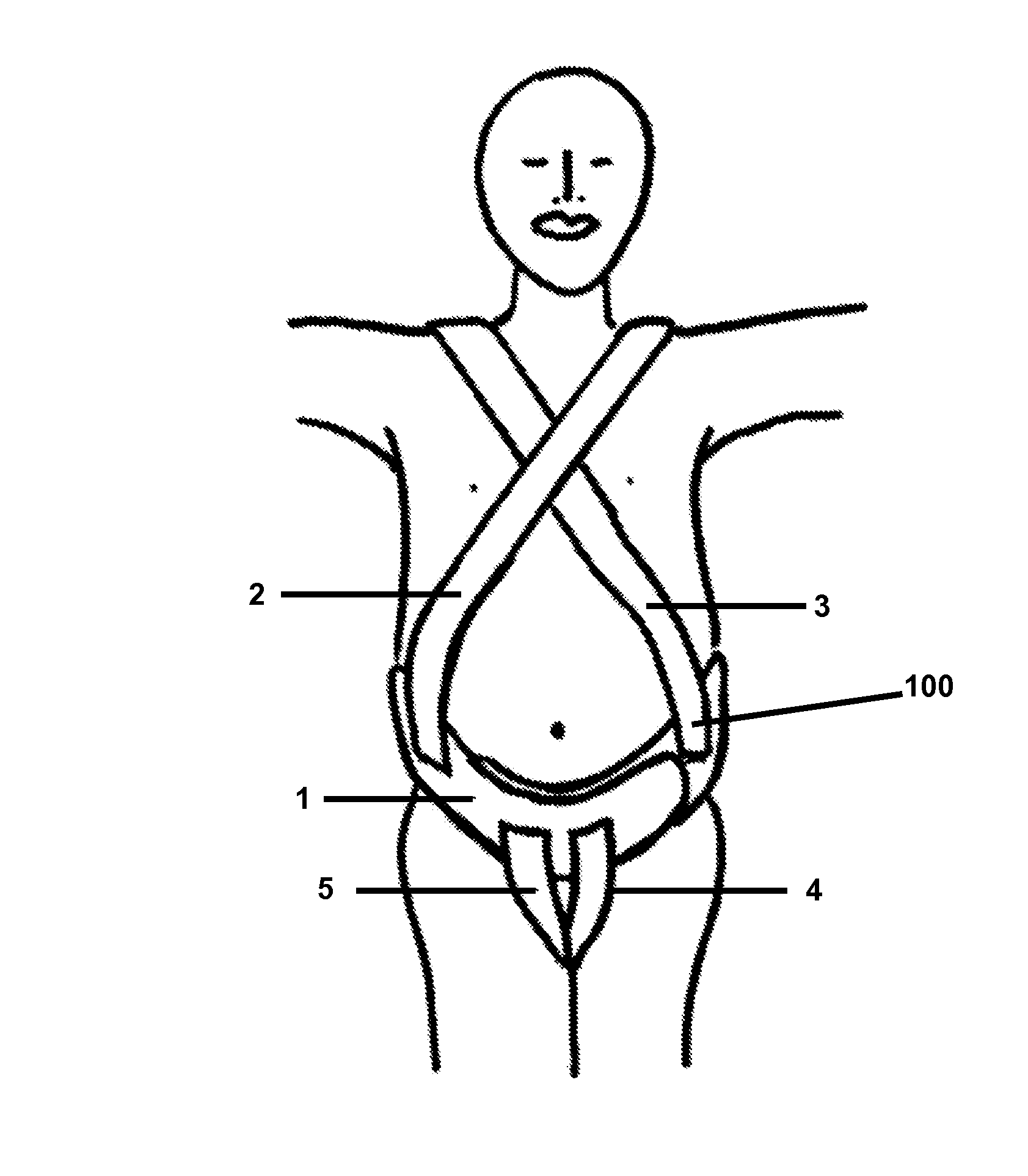 Belly and bottom adjustable support system