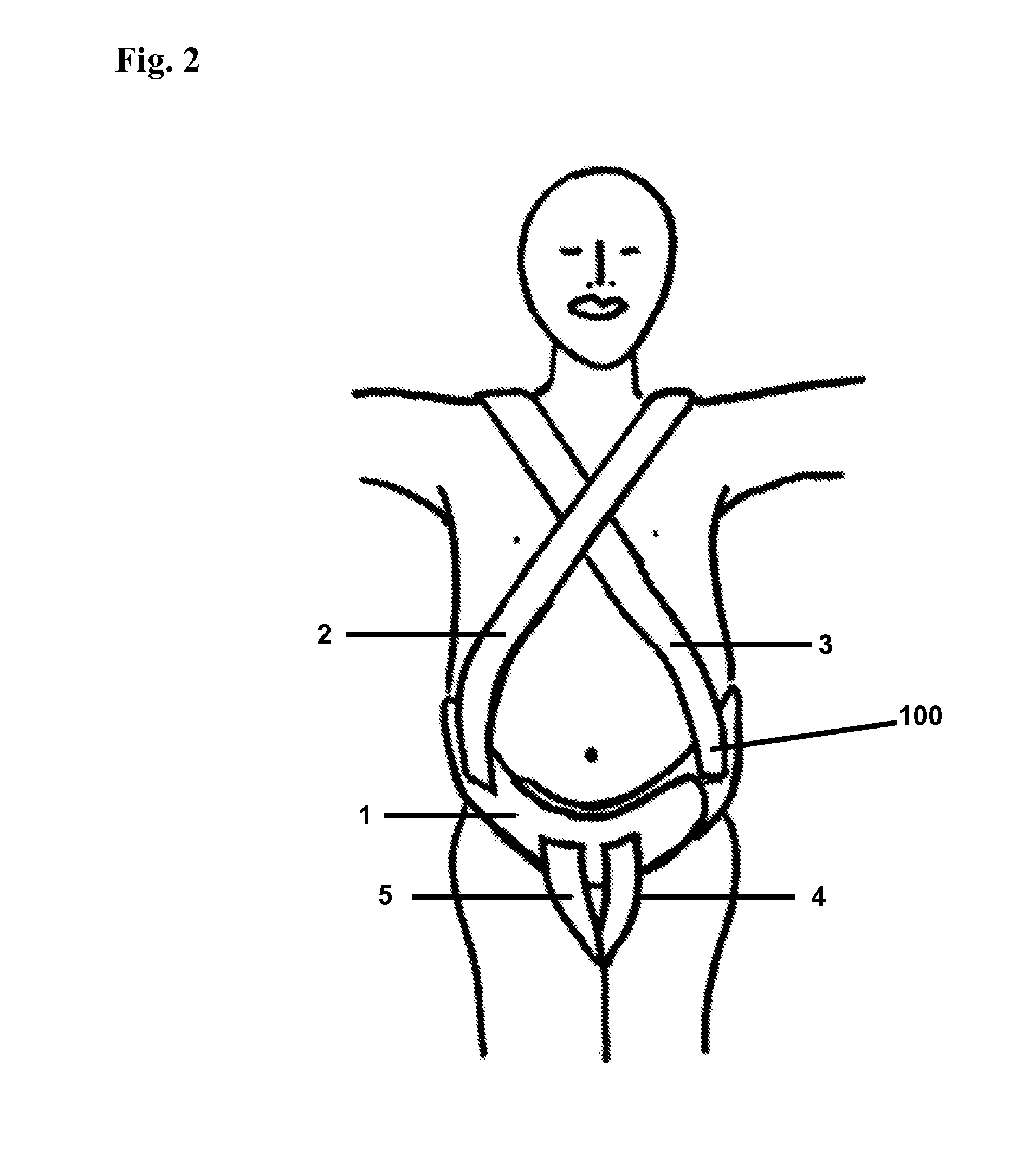 Belly and bottom adjustable support system