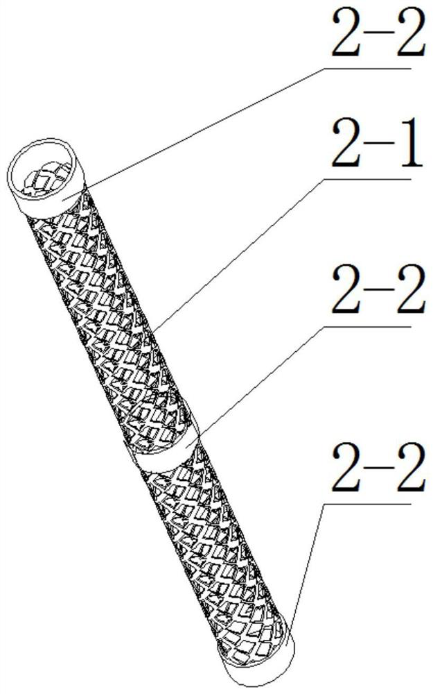 A corn conveying device and a conveying and storing system based on it