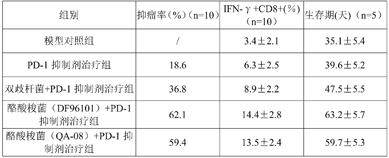 Application of clostridium butyricum in preparing preparation for inducing antitumor immunity and enhancing sensitivity of immune checkpoint inhibitor