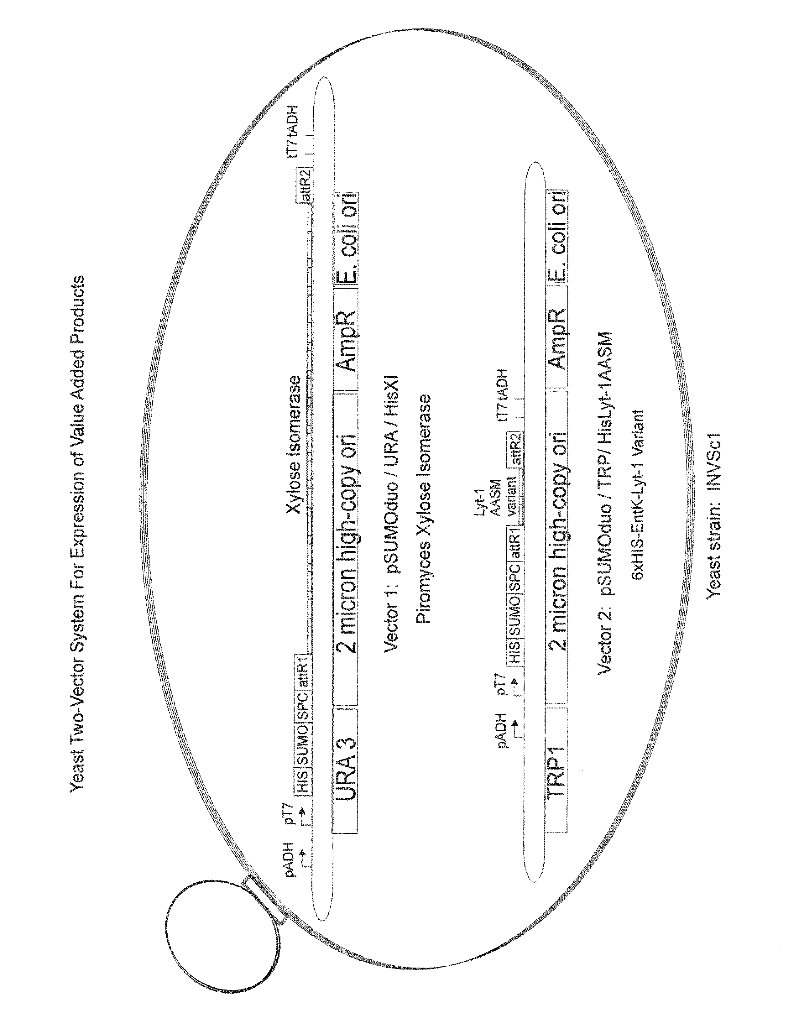 Mutant lycotoxin-1 peptide sequences for insecticidal and cell membrane altering properties