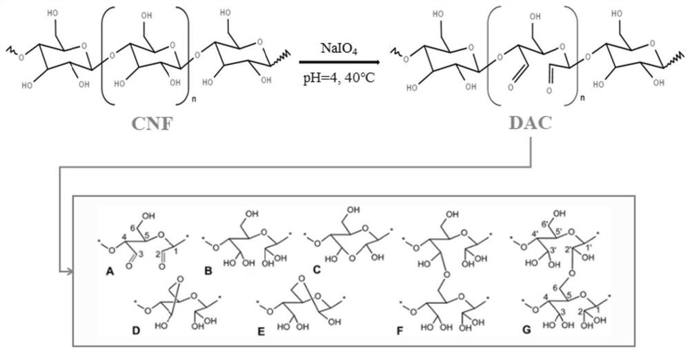 A kind of dialdehyde nanocellulose three-dimensional flexible material and its preparation method and application