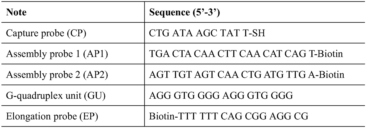 Electrochemical sensor for detecting microRNA-21, preparation method and application thereof