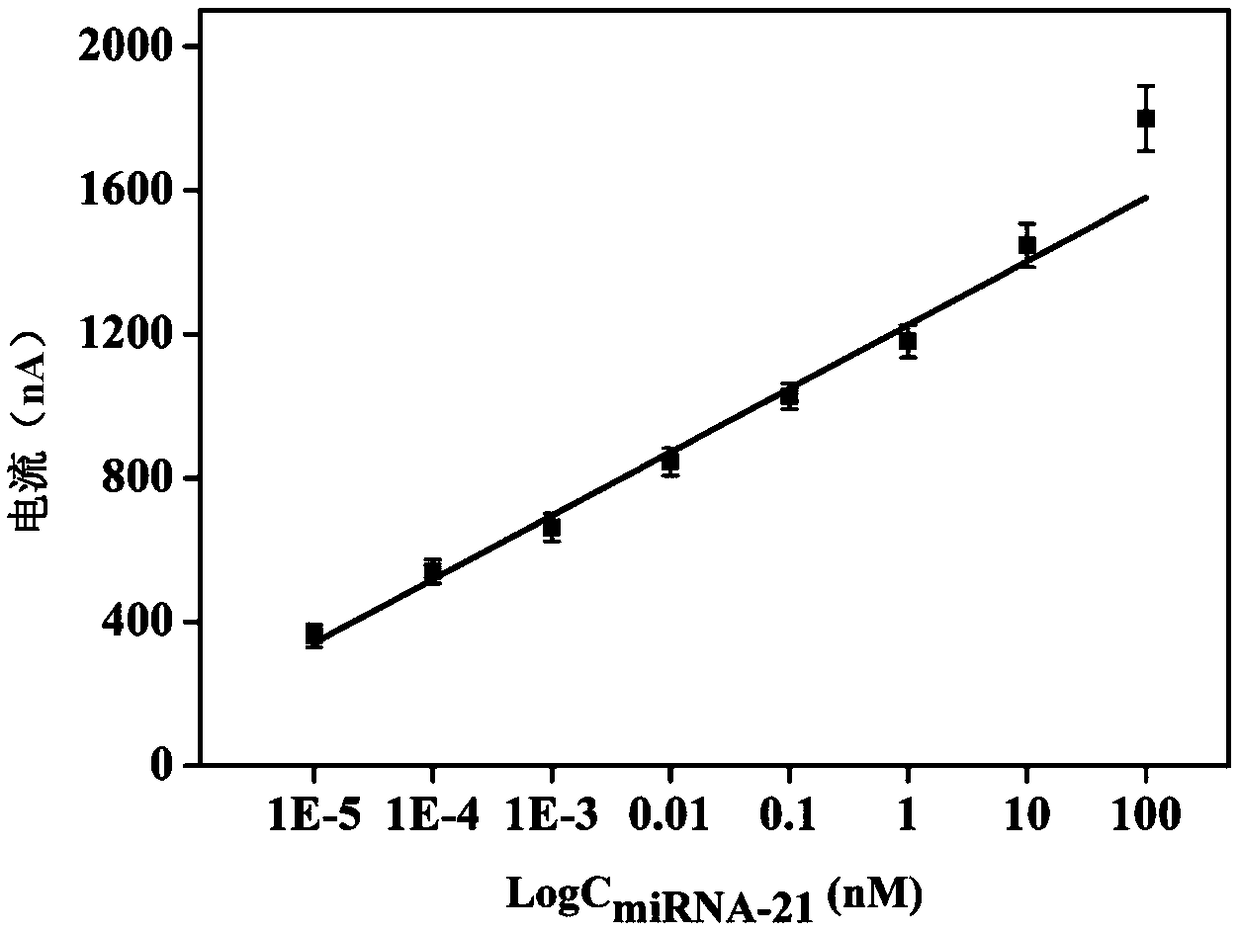 Electrochemical sensor for detecting microRNA-21, preparation method and application thereof