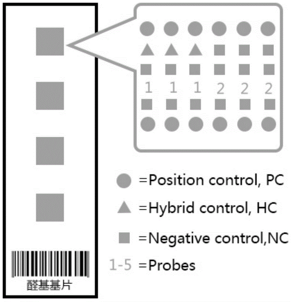 Gene chip of vesicular stomatitis viruses and/or swine vesicular disease viruses and reagent kit