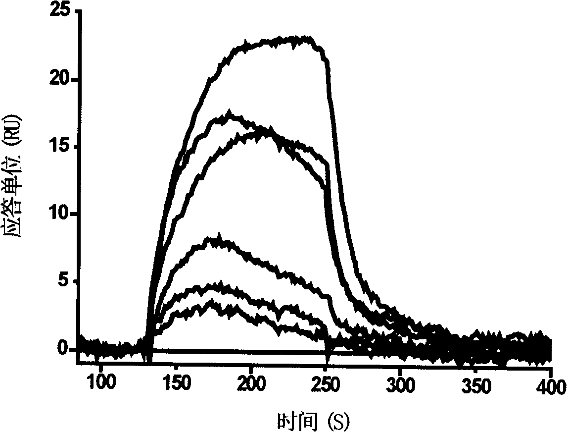 2,4-di-substituted amido-6-substituted-[1,3,5]triazine or miazines compound, preparation method, pharmaceutical combination and use of the same