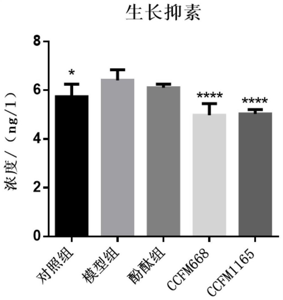 Bifidobacterium bifidum capable of reducing colon pathological injury and relieving constipation