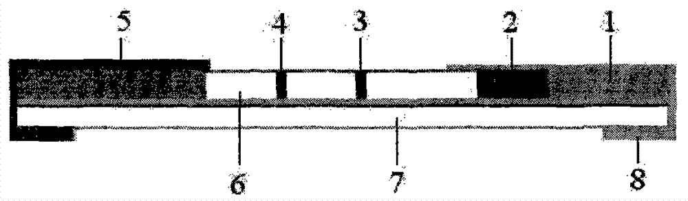 Gold-labeled test strip/card for quickly detecting mercury ions