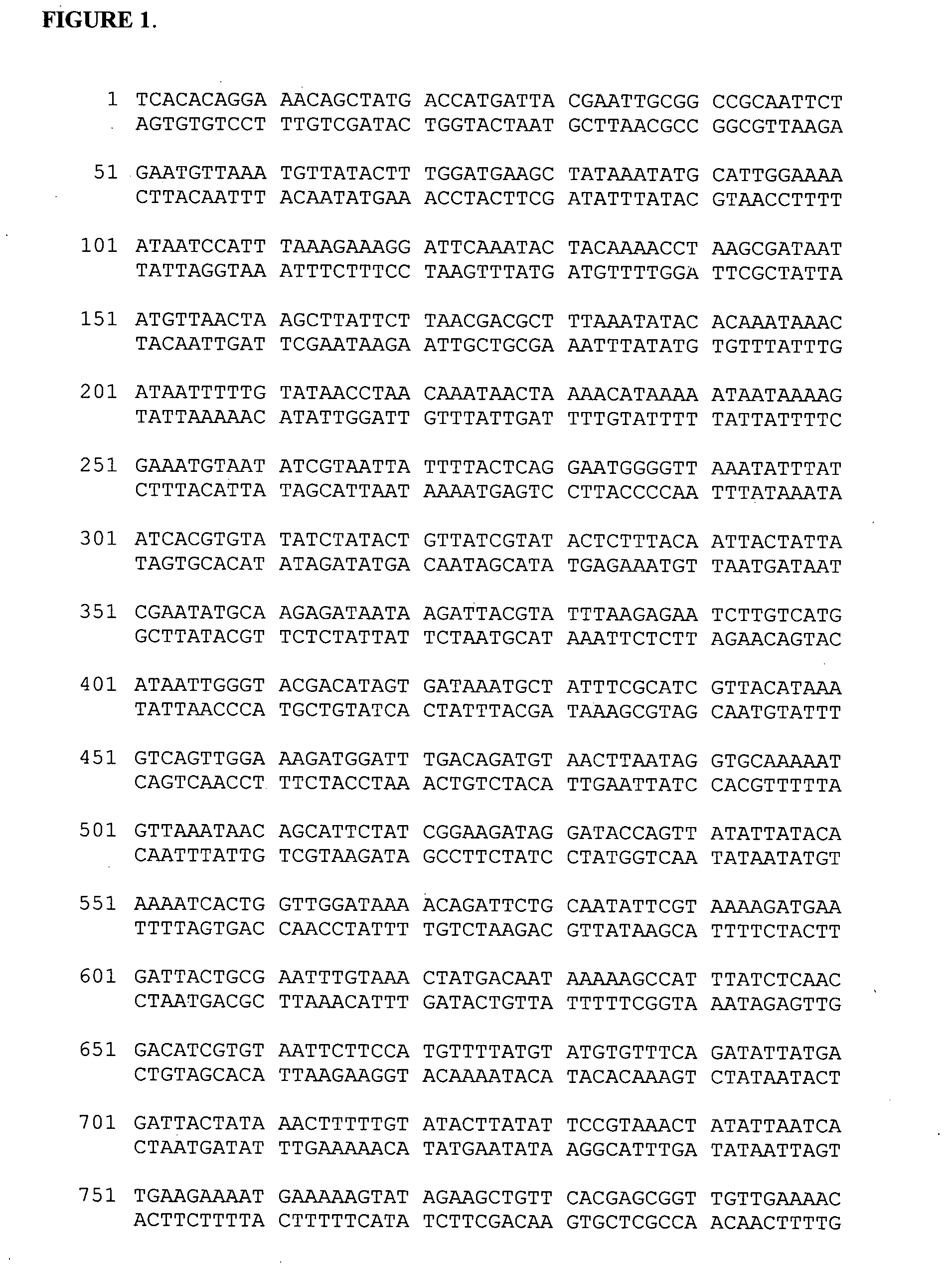 Vaccines against vesicular stomatitis