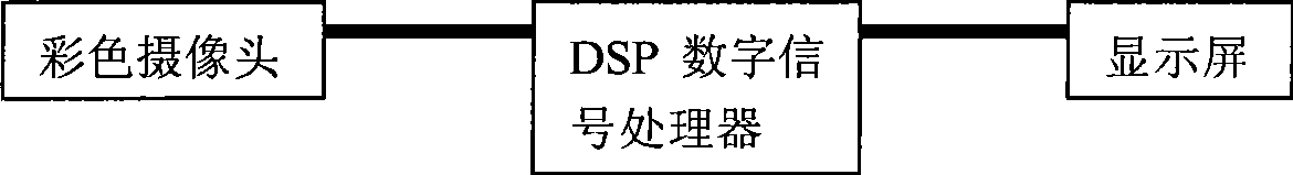 Quantitative determination device by gold marking spot method based on digital picture treatment