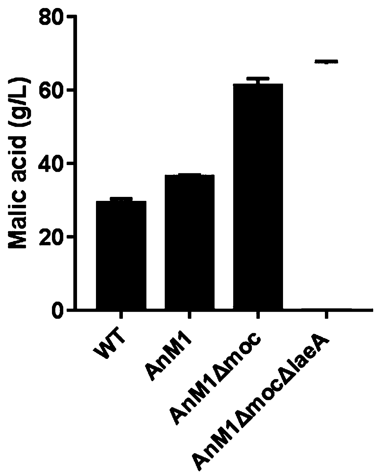 Promoter and expression vector for adjusting and controlling sgRNA transcription, genome editing system and application