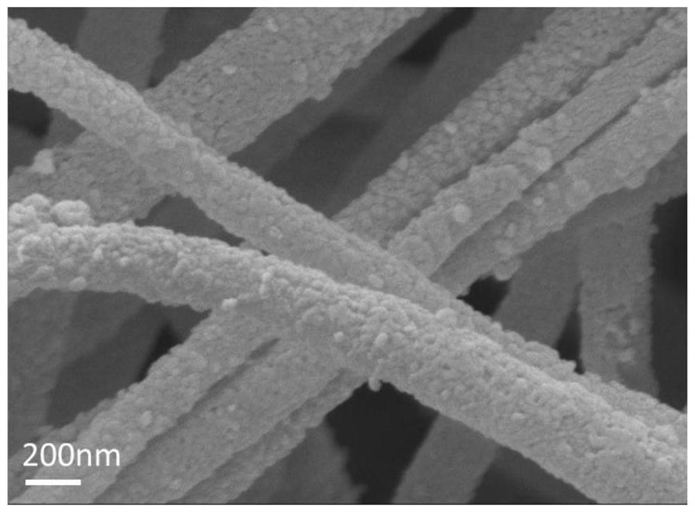 Preparation method of FeNx nanoparticle doped bamboo-like carbon nanotube