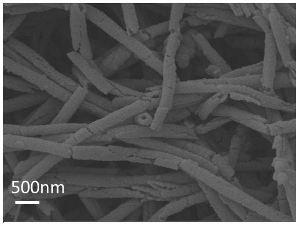 Preparation method of FeNx nanoparticle doped bamboo-like carbon nanotube